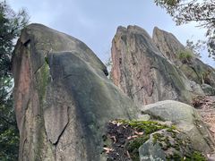 -南山植物园