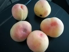 -老袁家蜜桃农场·阳山水蜜桃