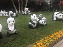 -成都大熊猫繁育研究基地