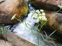 -碓臼峪自然风景区