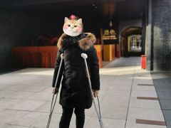 -滋色臻选川菜(北京坊旗舰店)