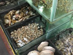 -寻味顺德·南记酒家·传统顺德菜·鱼生(广源路店)