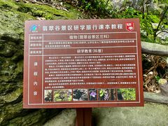 -黄山翡翠谷景区