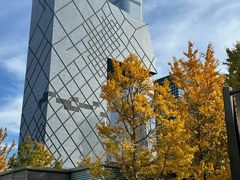 -中央广播电视总台(光华路办公区)