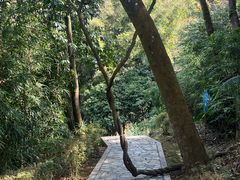 -天鹿湖森林公园