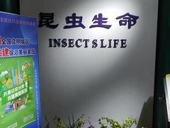 -上海昆虫博物馆