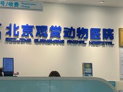 -北京观赏动物医院·24小时大型综合·猫专科·异宠专科