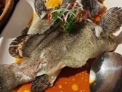 古法鲜蒸石斑鱼-南海渔家•海鲜•正宗海南菜(海棠湾店)