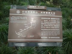 -杭州黄龙洞