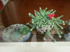 -美兰湖景区