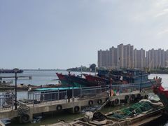 -蒂蒂香達濠魚丸