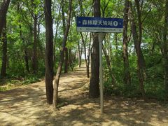 -日照海滨国家森林公园