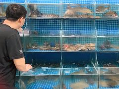 水产区-宾朋海鲜特色美食餐厅·纯手工鲅鱼水饺(兴海路店)