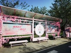 -花博汇(知音花月夜)
