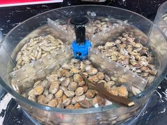 -汉江山料理级自助烤肉黑金冠(周口好吃城店)