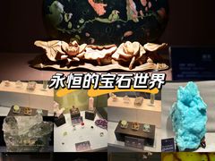 -中华赏石园