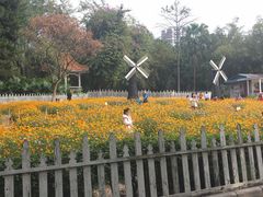 -晓港公园