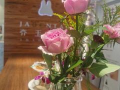 -齐玉齿科JADENTAL