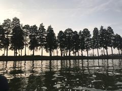 -东湖落雁景区