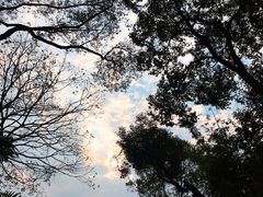 -云溪植物园
