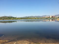 -永定河休闲森林公园