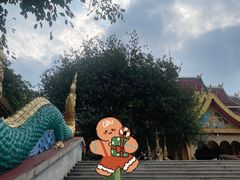 -西双版纳勐泐文化旅游区