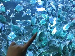 -海合安青岛极地海洋公园