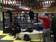 -拳义格斗搏击散打泰拳拳击俱乐部(裕华店)