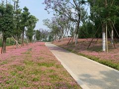 -白鹭湾湿地公园