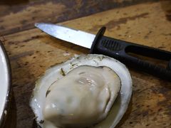 -土蚝·高压锅生蚝(百姓美食街店)
