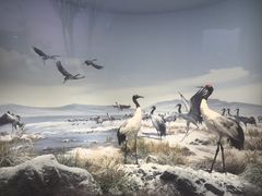 -中国湿地博物馆