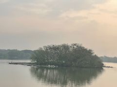 -海珠湖公园