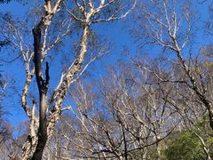 -白草畔自然风景区