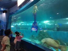 -苏州海洋馆