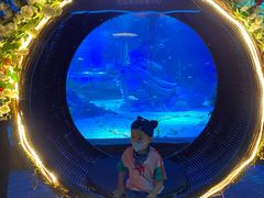 -沈阳海洋探索中心