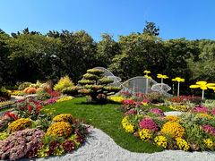 -上海共青森林公园