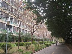 -广东工业大学(大学城校区)