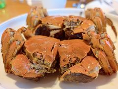 醉蟹-品鲜村农家菜·阳澄湖大闸蟹(总店)