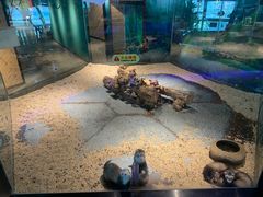 -昆明大悦城未来动物城(螺蛳湾中心店)