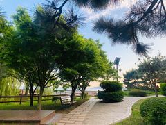 -八大关景区