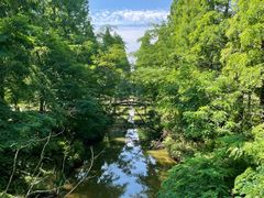 -黄海国家森林公园