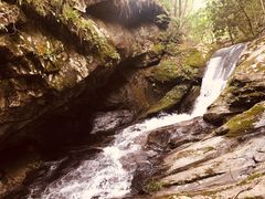 -燕子河大峡谷天坑仙境