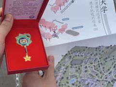 -武汉大学-樱园