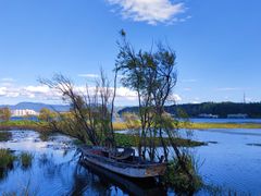 -洱海月湿地公园