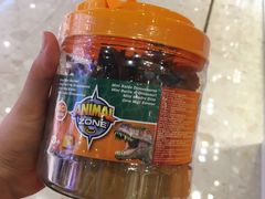 -玩具反斗城(海港城店)