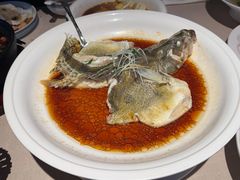 古法清蒸老虎斑-顺鹅季·非遗烧鹅(六道口店)