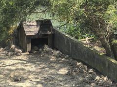 -广东惠东海龟国家级自然保护区