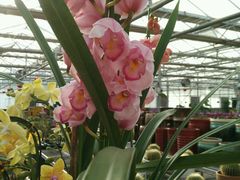 -天源吉布世温泉水乐园