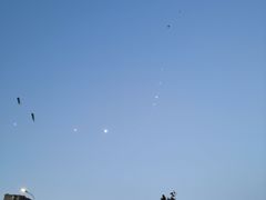 -丁香湖公园