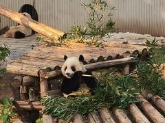 -太原动物园